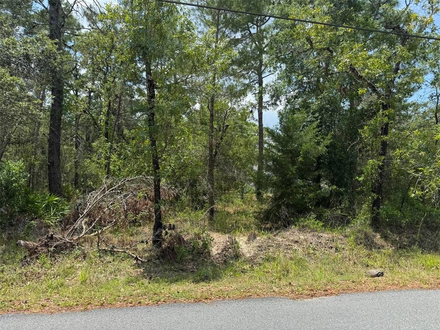Property photo for Lot 62 MICHIGAN AVENUE, Weeki Wachee, FL