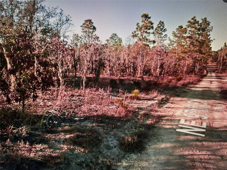Property photo for TBD NE 97TH COURT, Bronson, FL