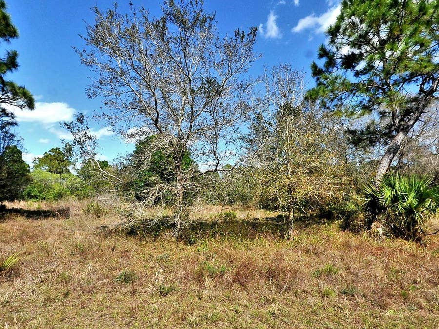 Property photo for NOCTURN STREET, North Port, FL
