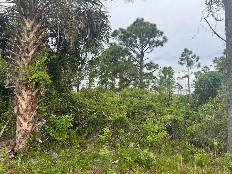 Property photo for 8185 DIMSTEAD STREET, Port Charlotte, FL