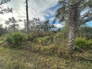 Property photo for 883 BOWMAN TERRACE, Port Charlotte, FL