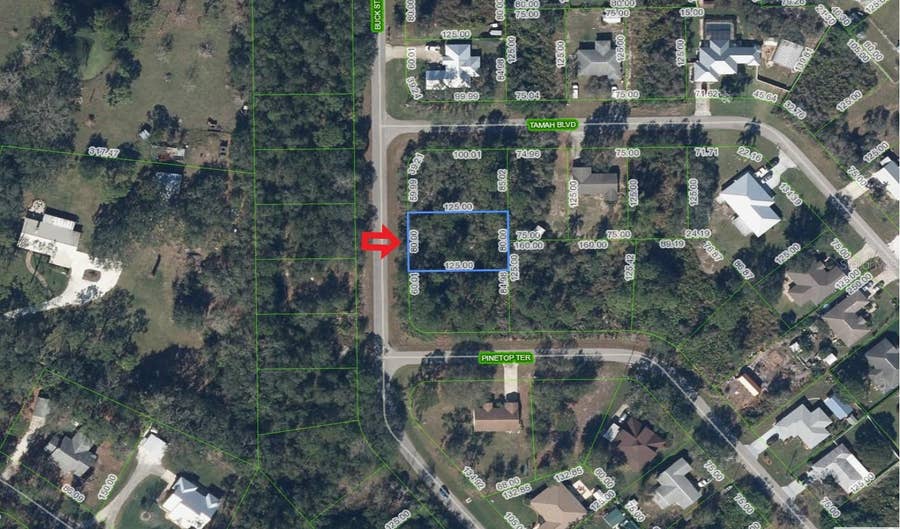 Property photo for 1541 BUCK STREET, Lake Placid, FL