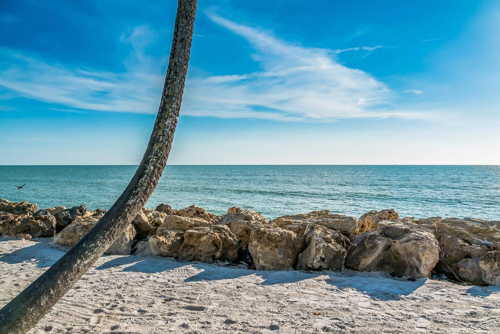 1253 N BASIN LANE, Sarasota, FL 34242 1253 N BASIN LANE, Sarasota, FL 34242
