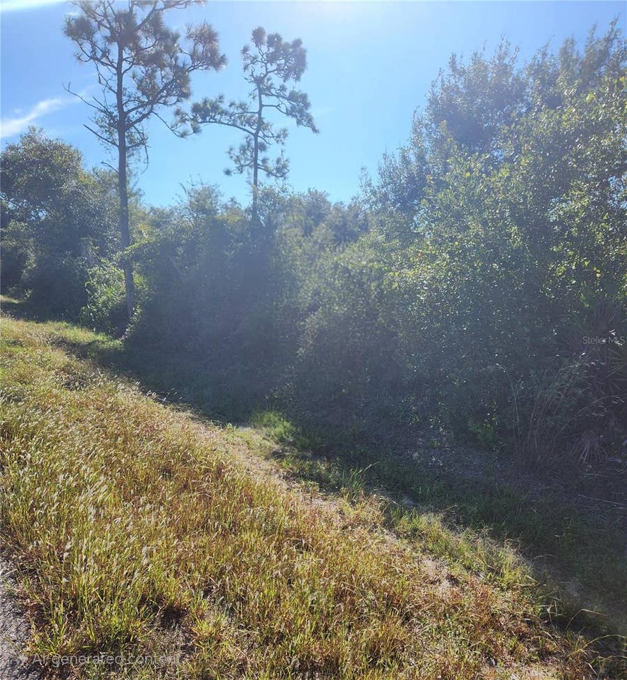 Property photo for 29221 DEFIANCE AVENUE, Punta Gorda, FL