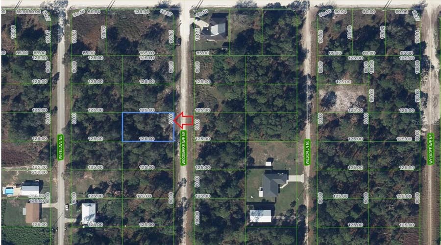 Property photo for 107 WOODMERE AVENUE NE, Lake Placid, FL