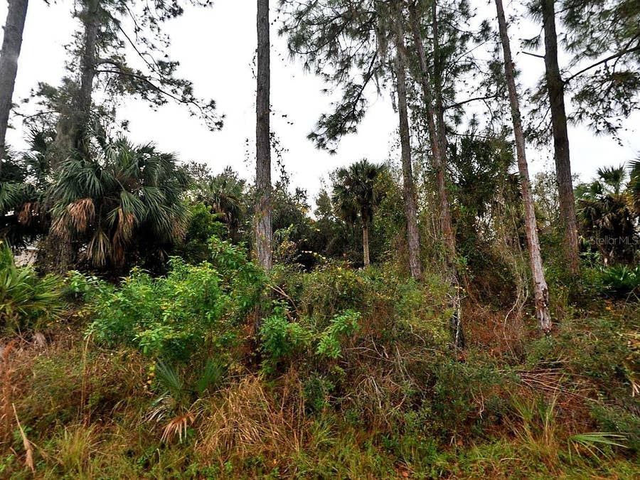 Property photo for CISSUS AVENUE, North Port, FL