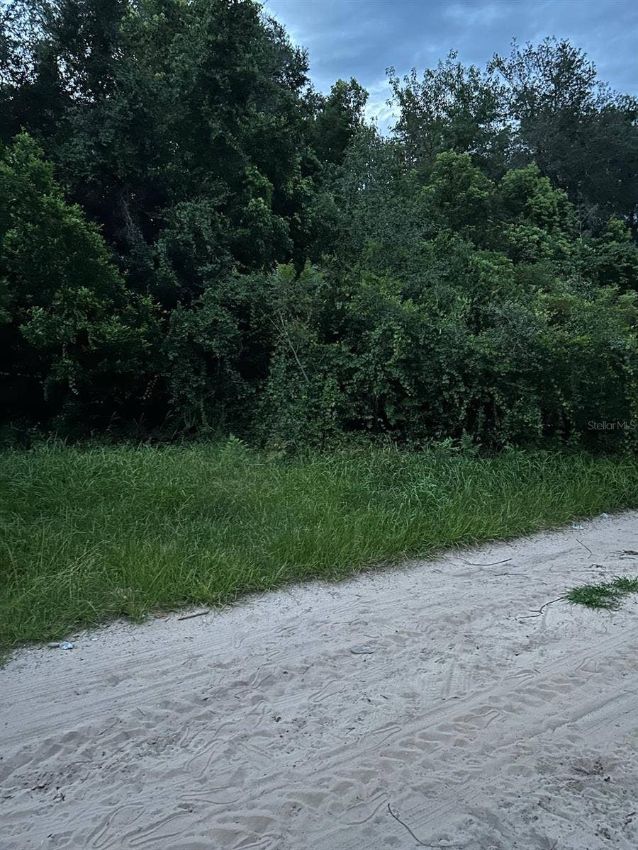 Property photo for SE 135 LANE, Umatilla, FL