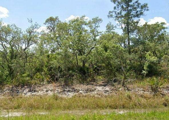 Property photo for 978 ARCHIE SUMMERS ROAD, Lake Placid, FL
