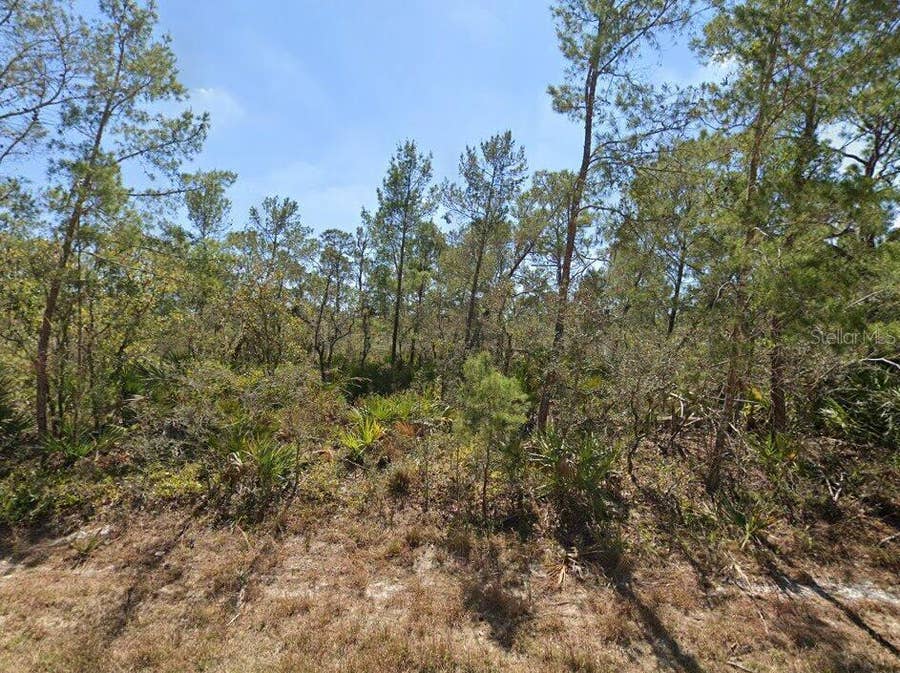 Property photo for 3234 FLATBUSH AVENUE, Lake Placid, FL