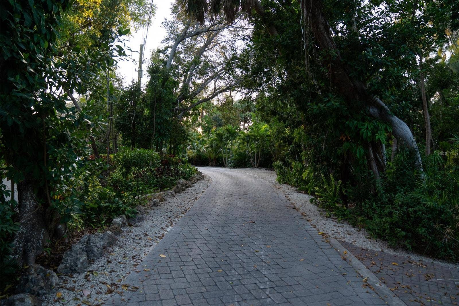 1290 HIDDEN HARBOR WAY, Sarasota, FL 34242 Lush Canopy Roads throughout neighborhood