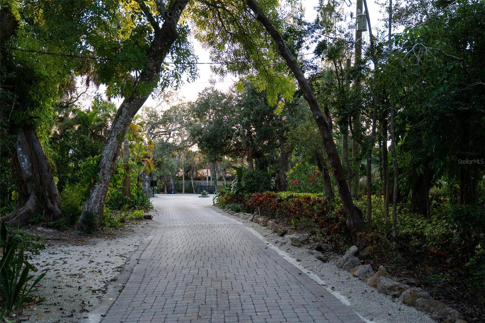 1290 HIDDEN HARBOR WAY, Sarasota, FL 34242 Lush Canopy Roads throughout neighborhood