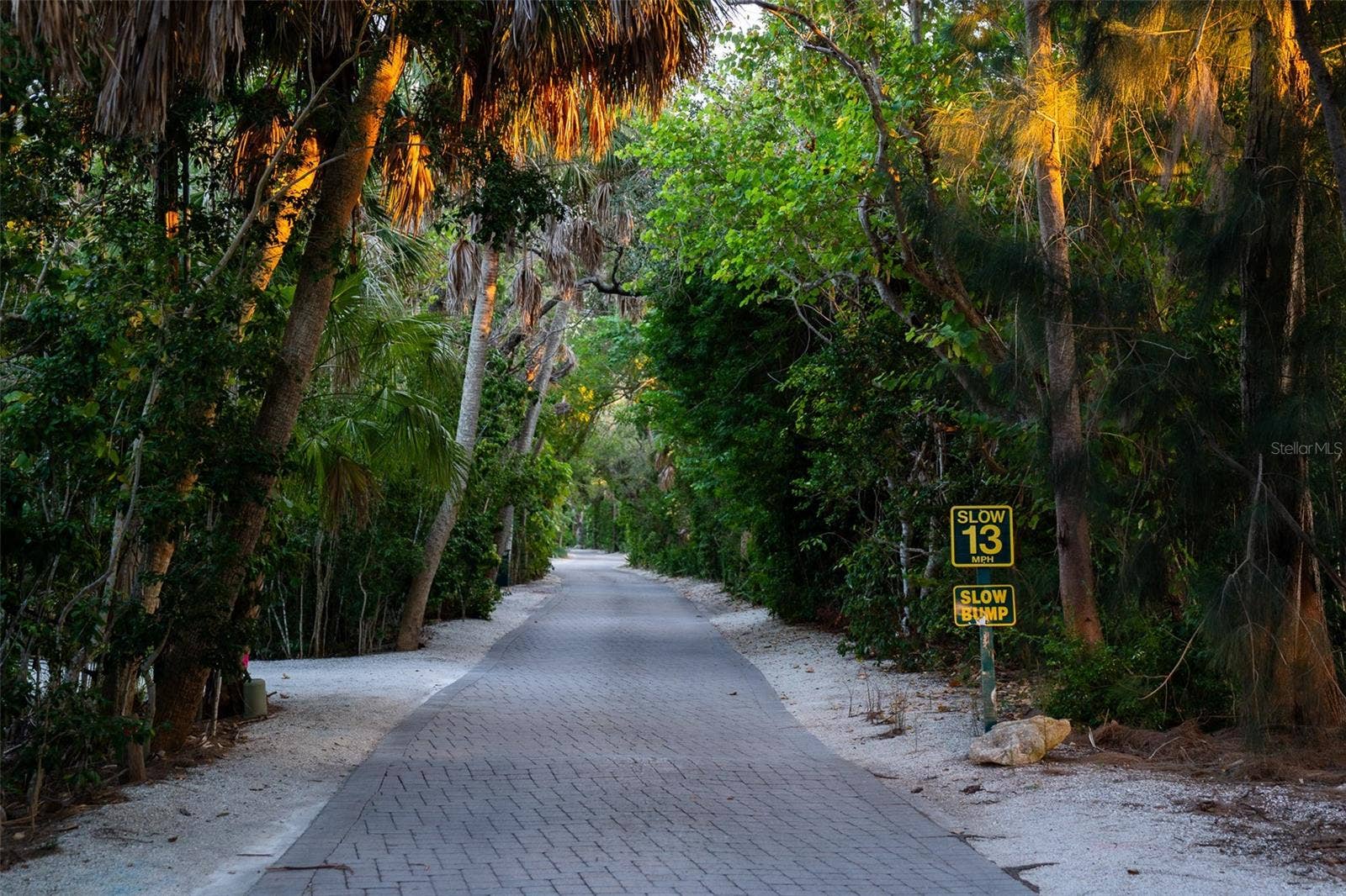 1290 HIDDEN HARBOR WAY, Sarasota, FL 34242 Lush Canopy Roads throughout neighborhood