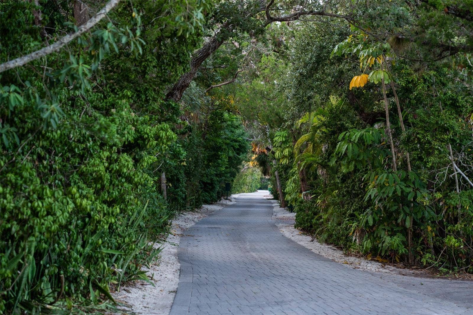 1290 HIDDEN HARBOR WAY, Sarasota, FL 34242 Lush Canopy Roads throughout neighborhood