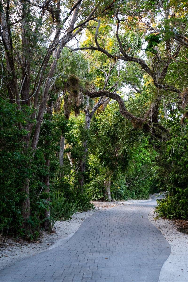 1290 HIDDEN HARBOR WAY, Sarasota, FL 34242 Lush Canopy Roads throughout neighborhood