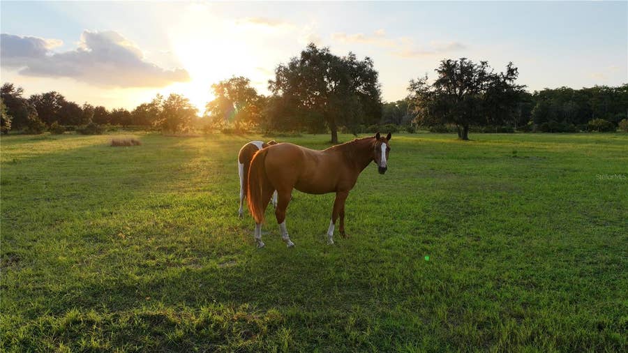 Property photo for 45855 CLAY GULLY ROAD, Myakka City, FL