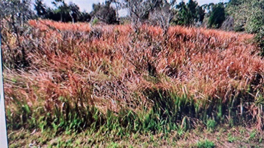 Property photo for JAYLENE ROAD, North Port, FL