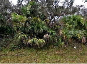 Property photo for OCARINA ROAD, North Port, FL