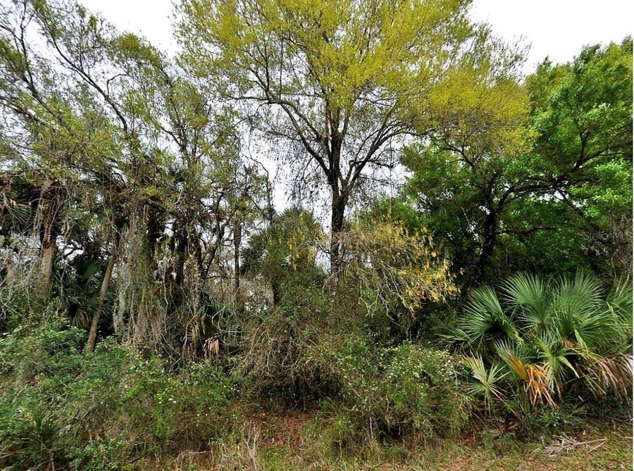Property photo for BACKERT RD., North Port, FL