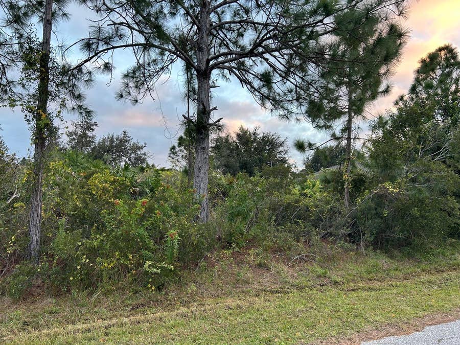 Property photo for 6806 OHIO ROAD, North Port, FL