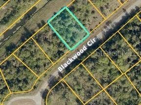Property photo for BLACKWOOD CIRCLE, North Port, FL