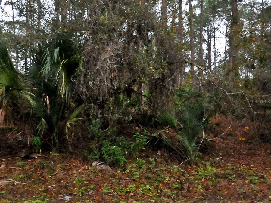Property photo for NEON AVENUE, North Port, FL