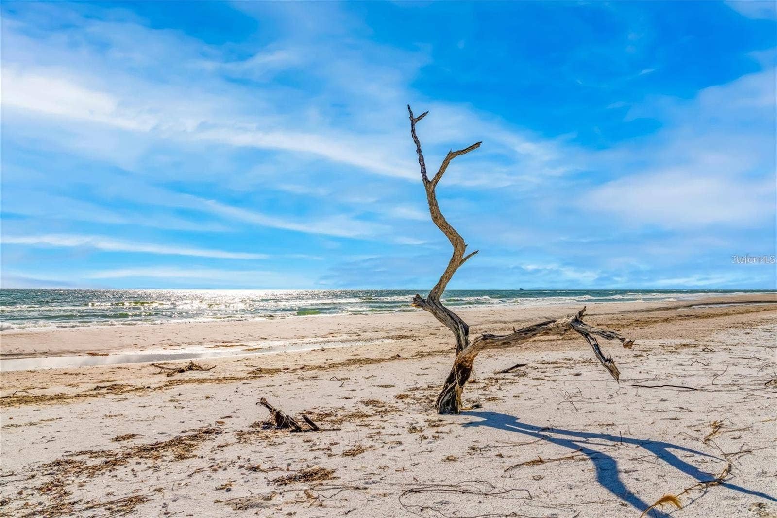6680 GULF OF MEXICO DRIVE, Longboat Key, FL 34228 6680 GULF OF MEXICO DRIVE, Longboat Key, FL 34228