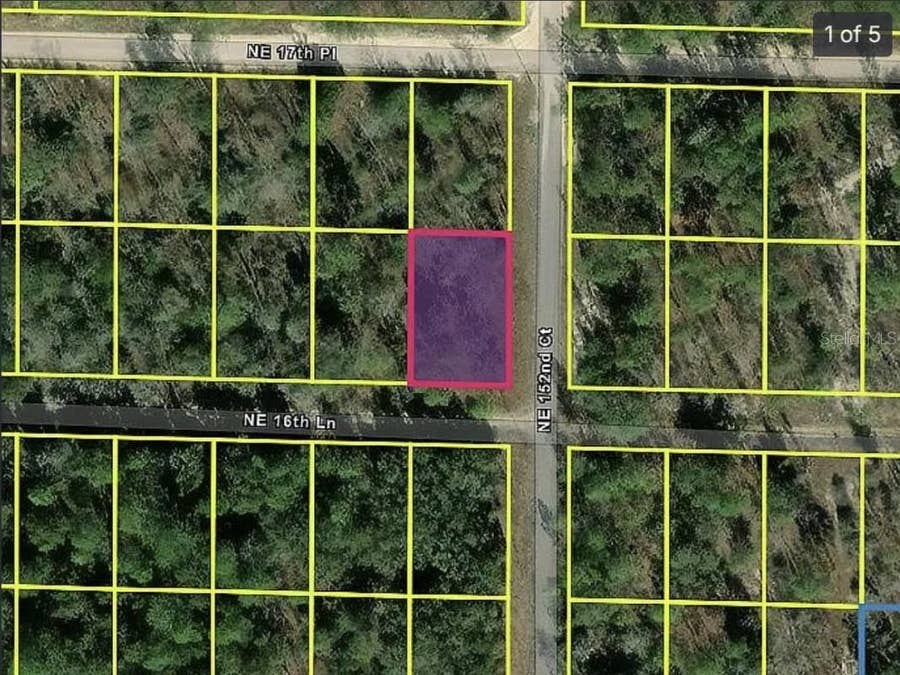 Property photo for 0 NE 16TH PLACE, Williston, FL