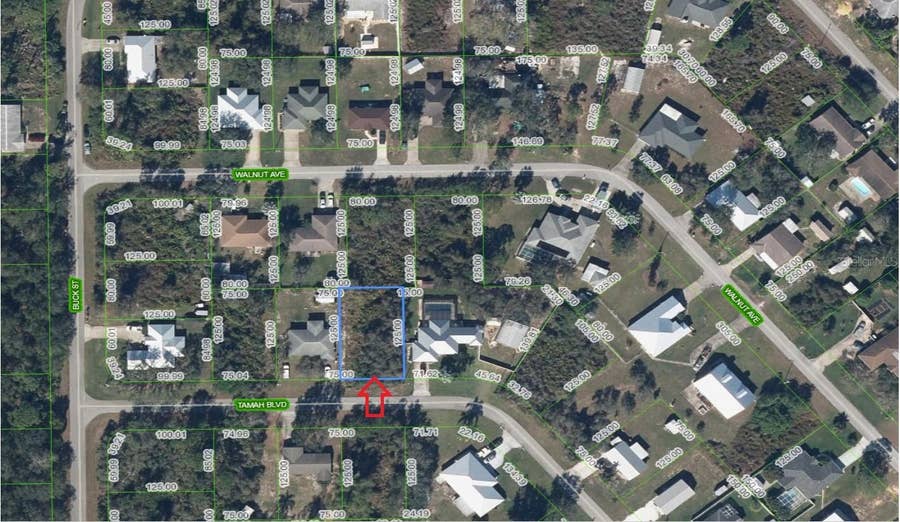 Property photo for 1507 TAMAH BOULEVARD, Lake Placid, FL