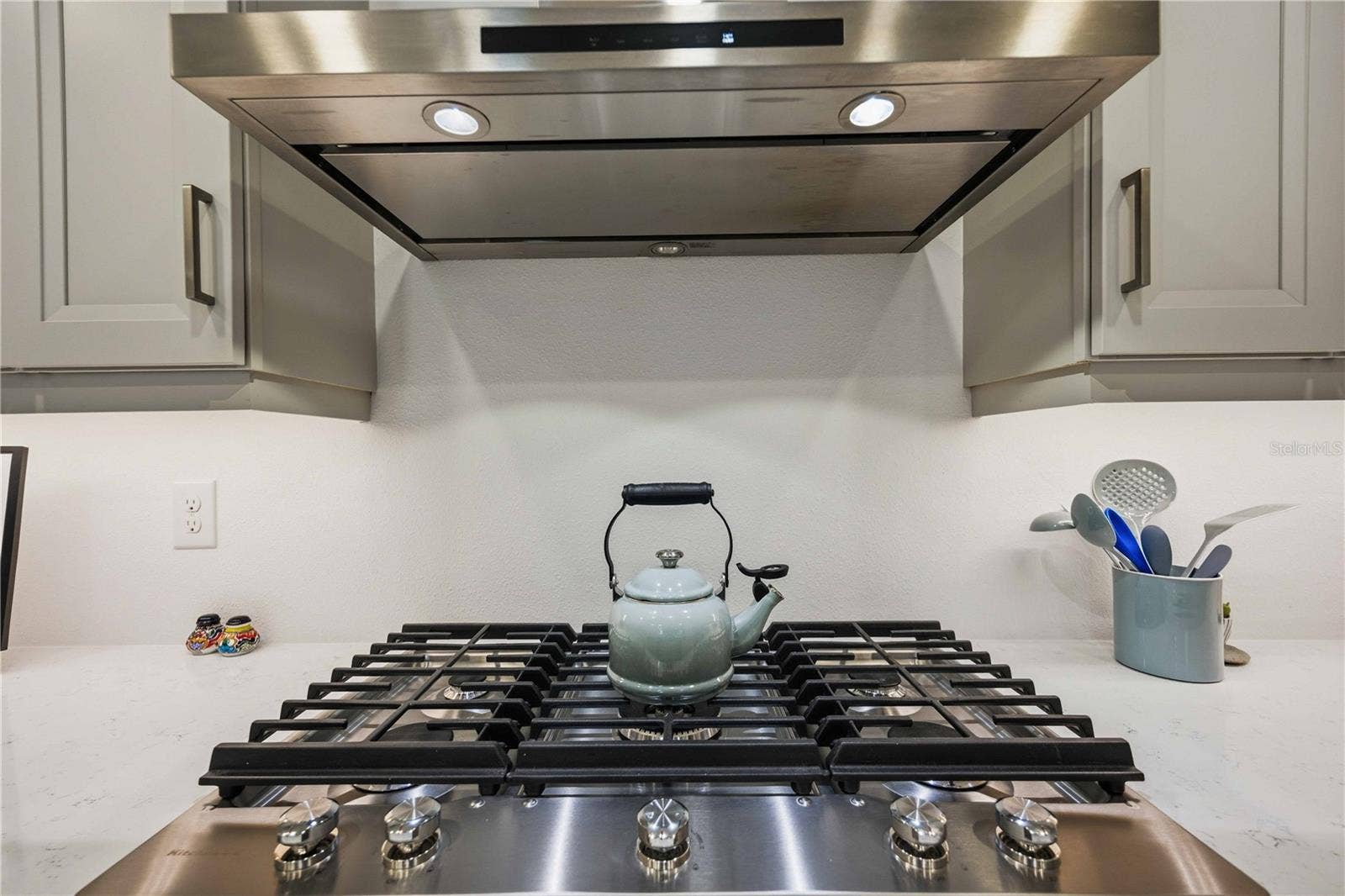 18652 DAYSPRING PLACE, Venice, FL 34293 Gas cooktop & hood.
