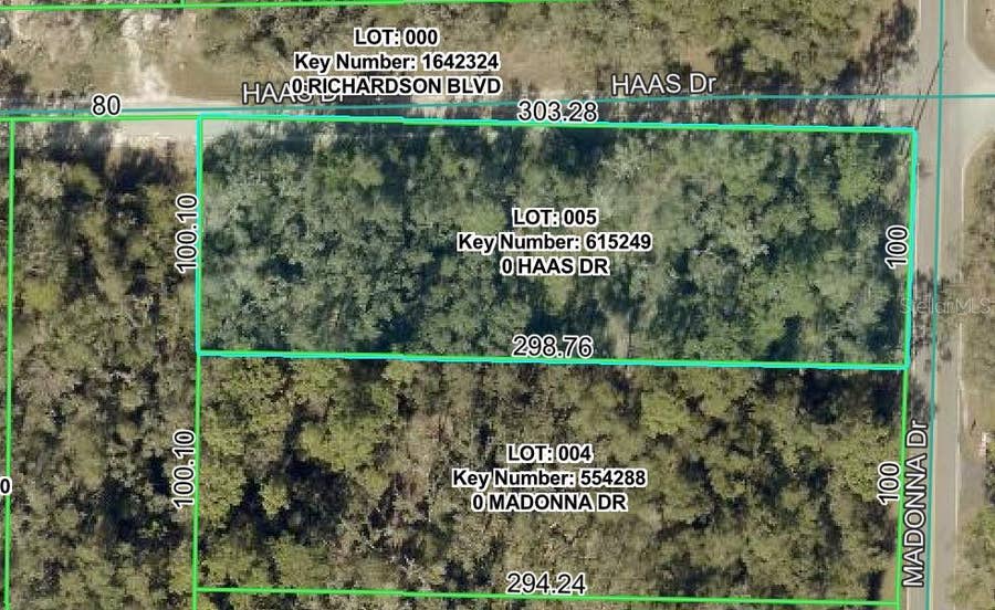 Property photo for 0 HAAS DRIVE, Webster, FL