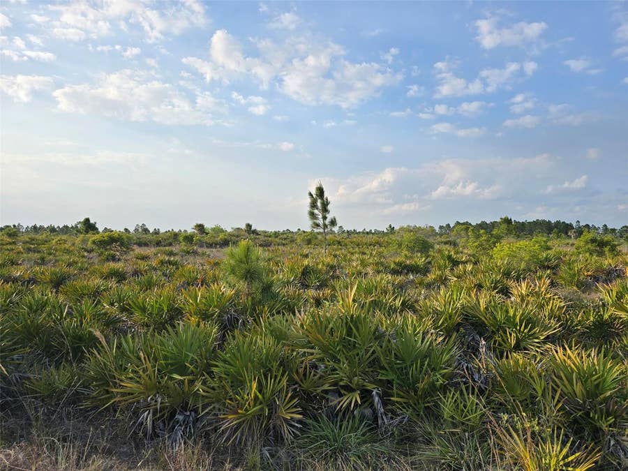 Property photo for 49173 BERMONT ROAD, Punta Gorda, FL