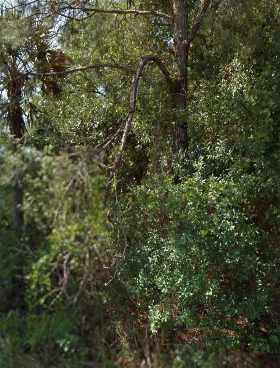 Property photo for OHIO ROAD, North Port, FL