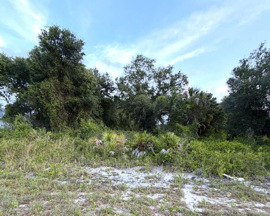 Property photo for MANGROVE AVENUE, North Port, FL