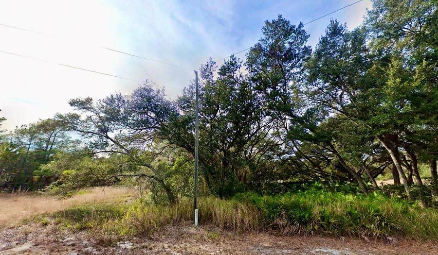 Property photo for 175 FISHER LN COURT, Ocklawaha, FL