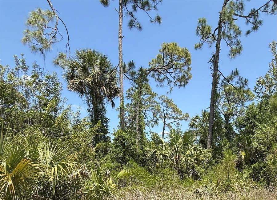 Property photo for Lot 15 COASTAL STREET, North Port, FL