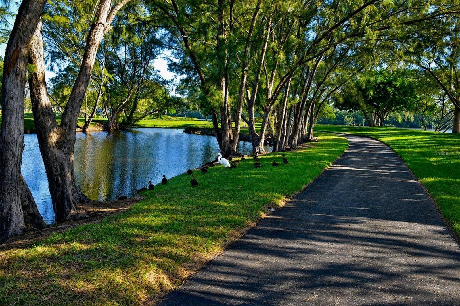 4809 INDEPENDENCE DRIVE, Bradenton, FL 34210 Mt Vernon bay front park lake along walking path