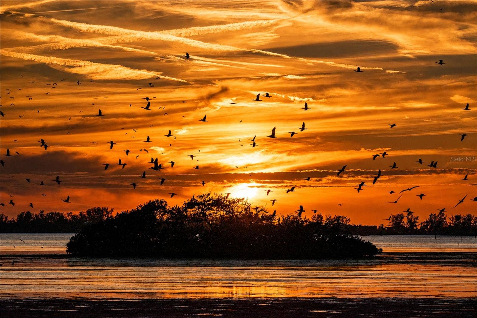 4853 INDEPENDENCE DRIVE, Bradenton, FL 34210 Mt Vernon sunset from coastline