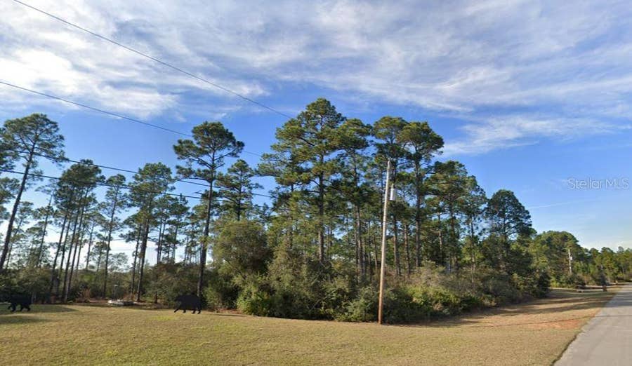 Property photo for 2249 WINFIELD DRIVE, Navarre, FL