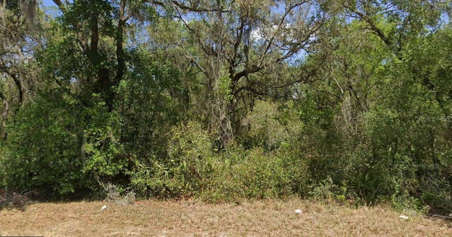 Property photo for 21175 SE 142ND LANE, Umatilla, FL