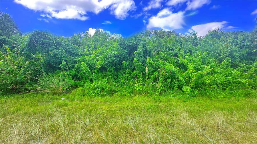 Property photo for 10 SW 24TH AVENUE, Cape Coral, FL