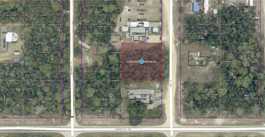 Property photo for 14-17-28-0200-004-04100 OAK STREET, Paisley, FL