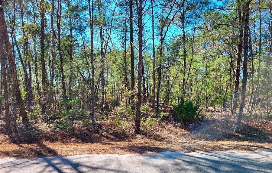 Property photo for 76 FISHER RUN TERRACE, Ocklawaha, FL