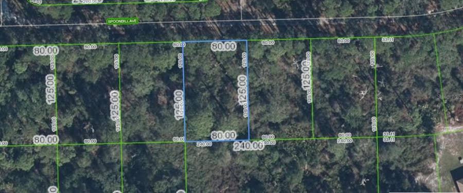 Property photo for 3224 SPOONBILL AVENUE, Lake Placid, FL