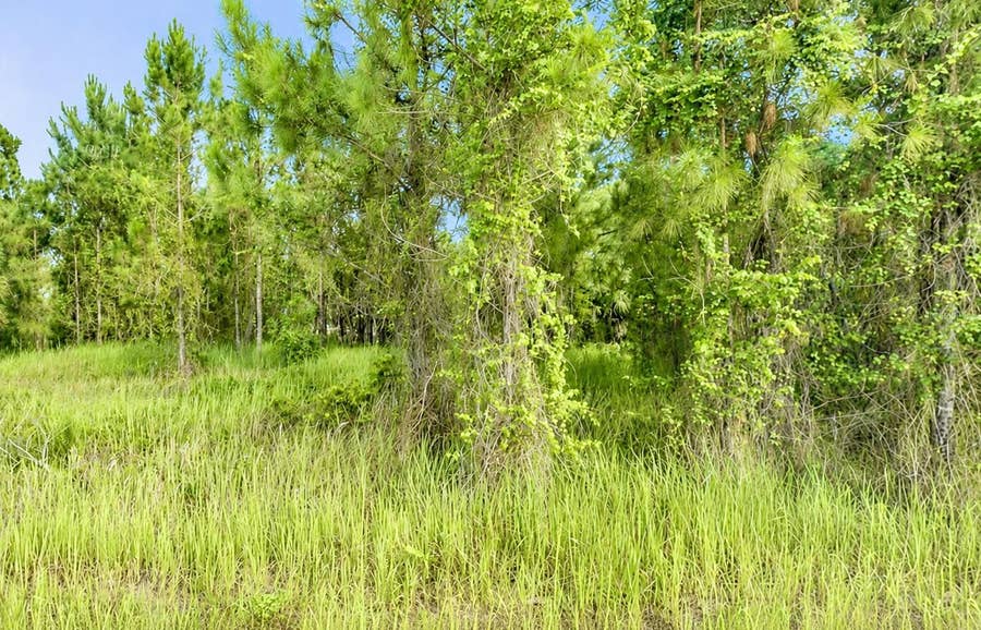Property photo for 2268 ROLLING ROAD, North Port, FL