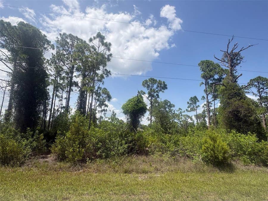 Property photo for 14200 NAYLOR AVENUE, Port Charlotte, FL