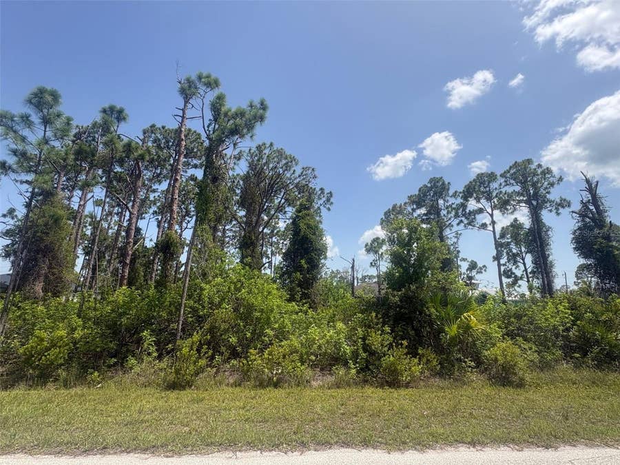 Property photo for 14201 NAYLOR AVENUE, Port Charlotte, FL