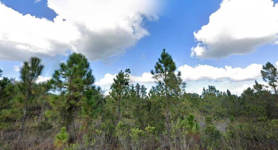 Property photo for 1017 PORTULACA DRIVE, Indian Lake Estates, FL