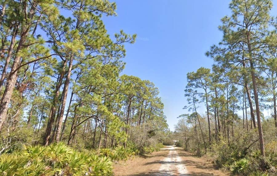 Property photo for 804 FORMOSA STREET, Lake Placid, FL