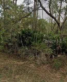 Property photo for Interlachen, FL