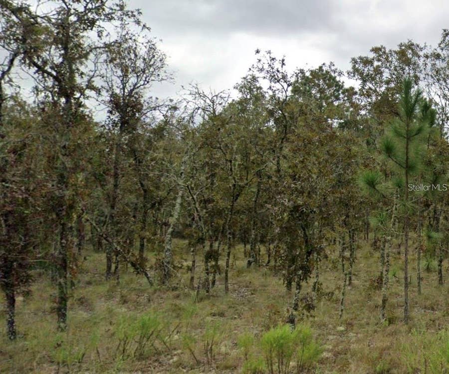 Property photo for NE 11TH STREET, Williston, FL